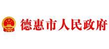 吉林省德惠市人民政府logo,吉林省德惠市人民政府标识