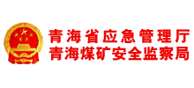 青海省应急管理厅Logo