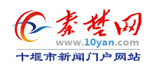 十堰秦楚网Logo