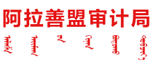 内蒙古自治区阿拉善盟审计局Logo